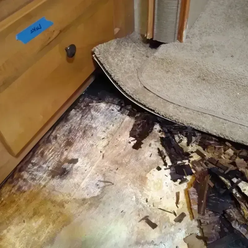 Wood Floor Water Damage in Madison County, AR